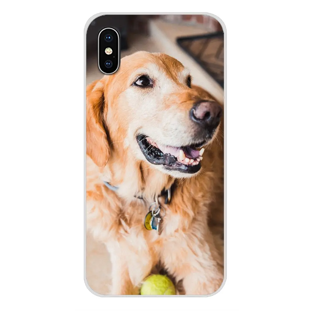 Аксессуары оболочка Чехлы животные милая собака золотой ретривер для Samsung A10 A30 A40