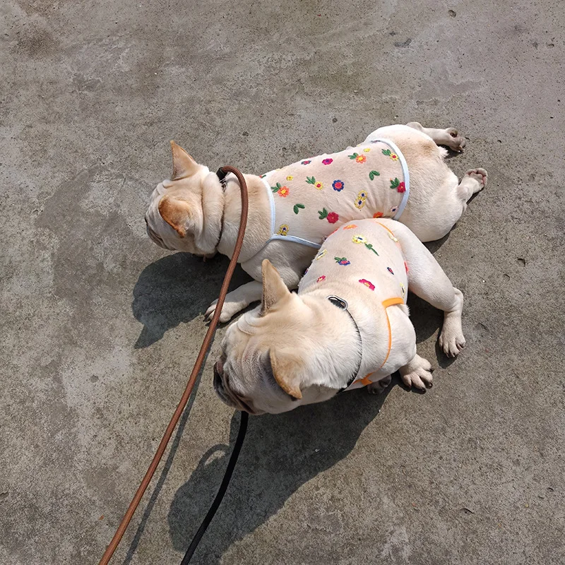 _ Одежда для кошек корейский короткий жилет и собак Тедди шнауцер одежда щенков