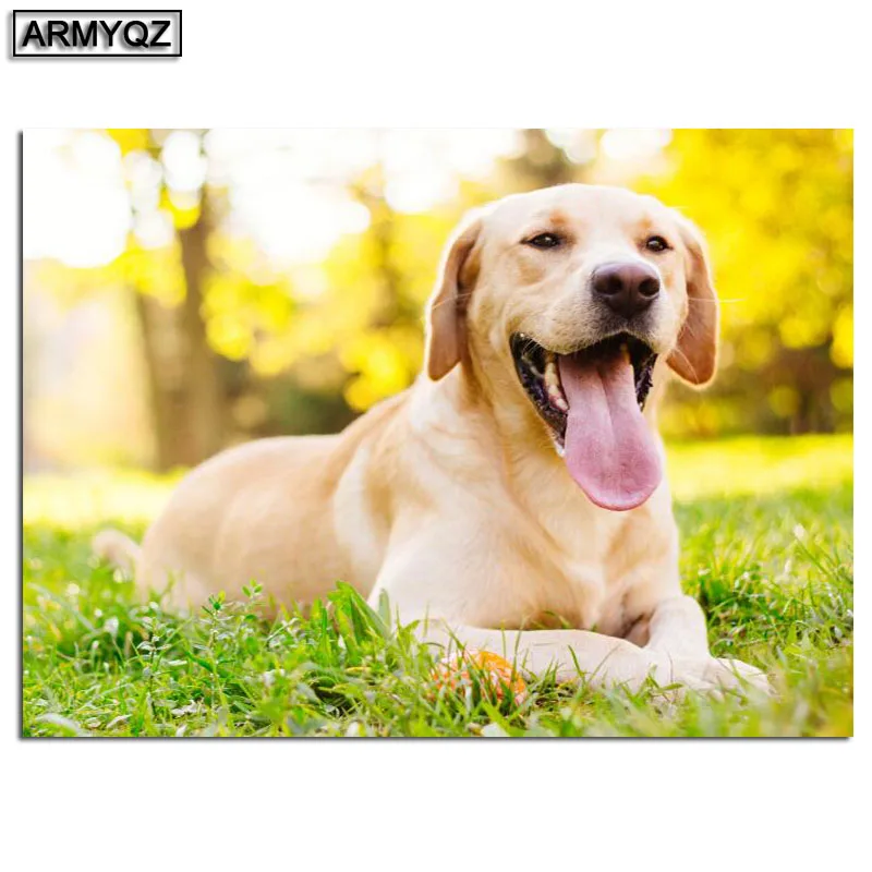 5D DIY Diamond Painting Labrador Dog Cross Stitch Needlework Embroidery Rhinestone painting Full Square mosaic Decor | Дом и сад