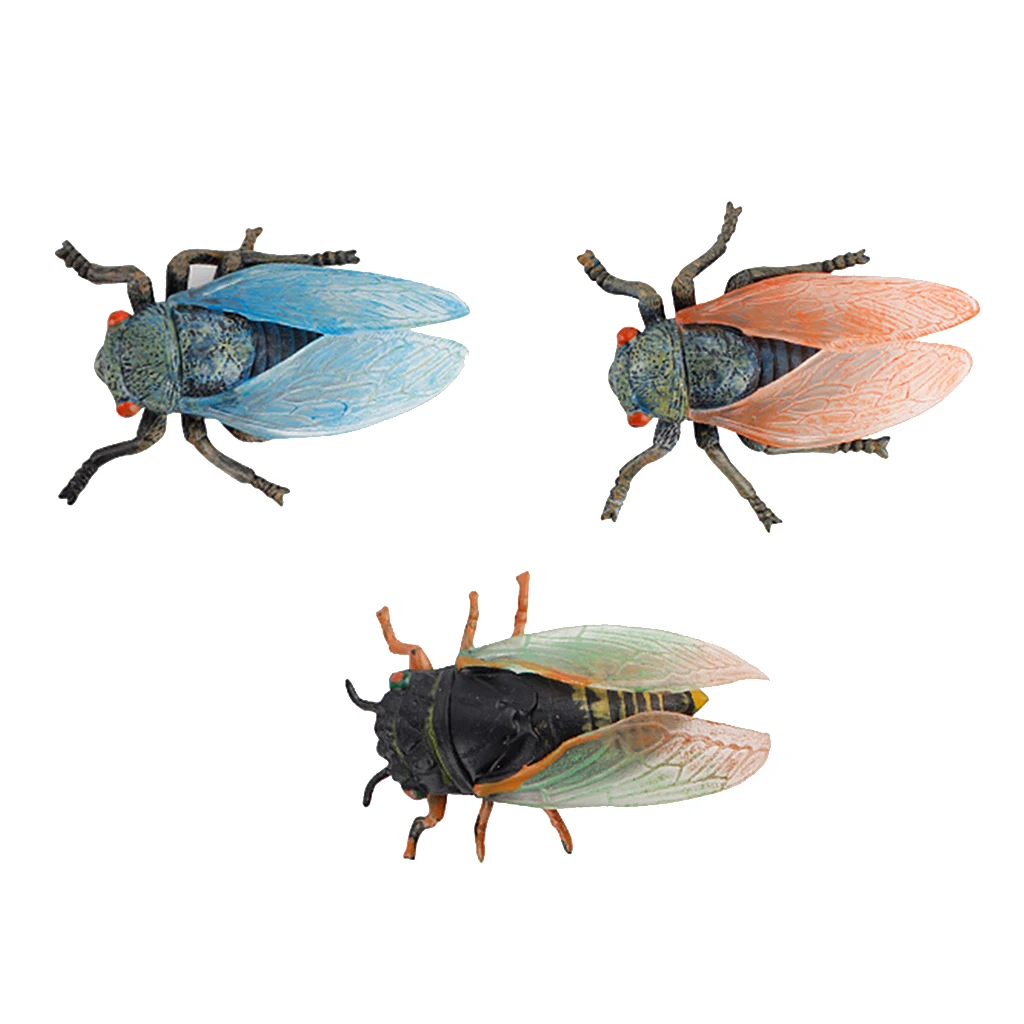 

3 Pcs Lifelike Realistic Cicada Animal Model Action Figure Insect Animal Action Figures Collection Plastic Toy