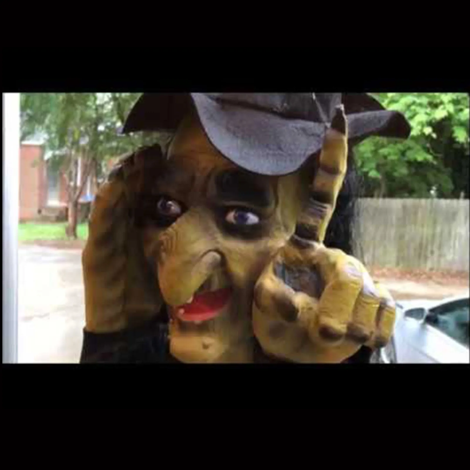 Страшный ливчик с первого взгляда прикол сувенир для украшения окон в помещении