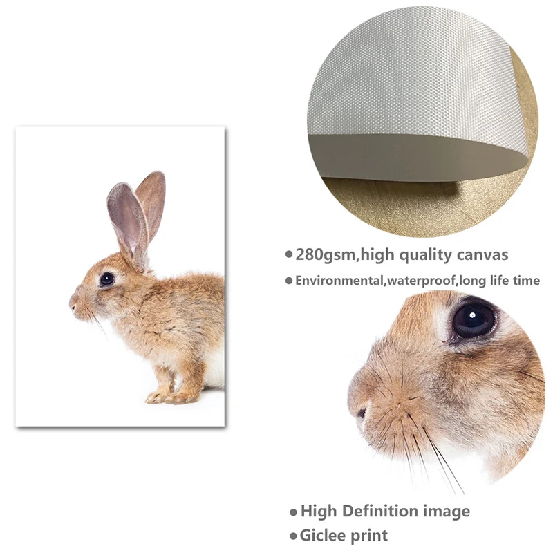 Woodland Animal Bunny Tail Picture Cute Brown Rabbit Poster Nursery Print Wall Art Canvas Painting Nordic Kid Bedroom Decoration