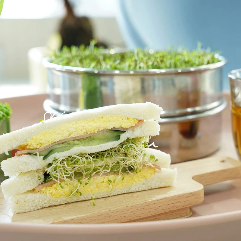 

Stainless Steel Seed Sprouting Kit, 2-Tier Mesh Sprouting Trays, 1 Base and 1 Cover Lid