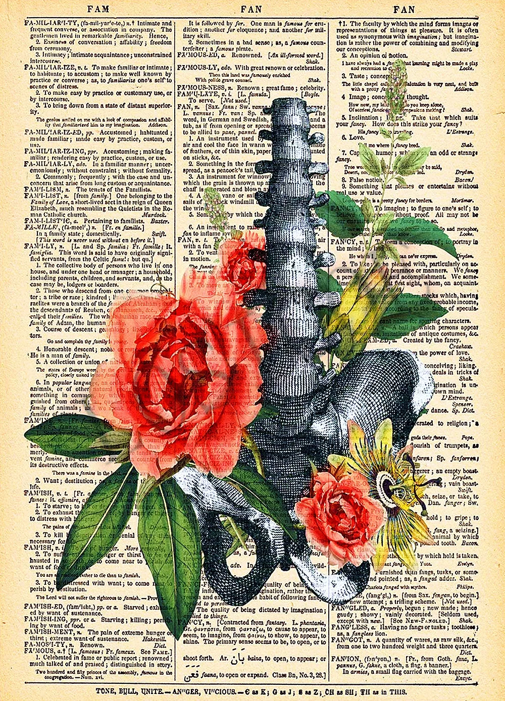 Череп цветок плакаты газета словаря искусство домашний декор человеческая наука