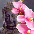 Алмазная живопись Будда и орхидея, религиозная полноразмерная 5D Вышивка сделай сам, Алмазная мозаика, вышивка крестиком, украшение для дома