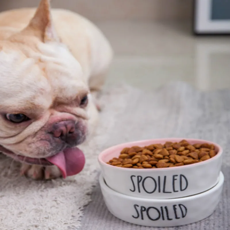 Товары для домашних животных милые миски с ручкой кормушка дозатор еды кошка