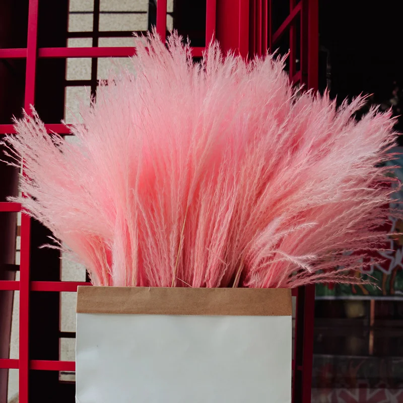 

Hot 10Pcs Reed Bunch Dried Pampas Wedding Flower Bunch Bulrush Bouquets Dried Flowers Reed Home Flower Arrangement DO2