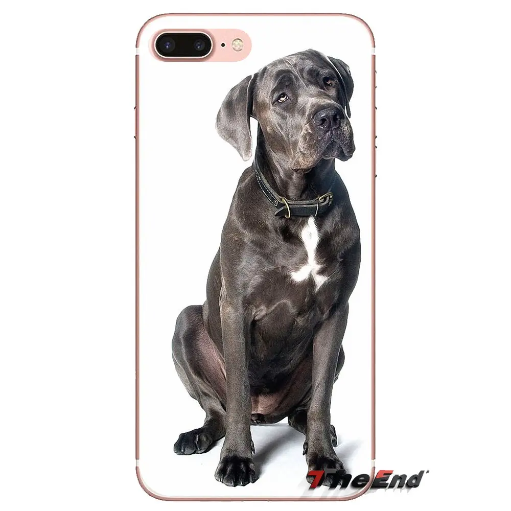 Phone Cover Italian dogs Cane Corso it mastiff For HTC One U11 U12 X9 M7 M8 A9 M9 M10 E9 Plus Desire 630 530 626 628 816 820 830 |