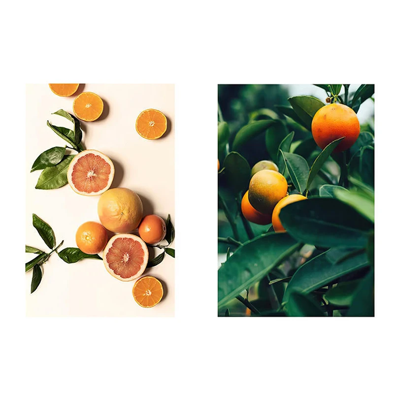 

Wall Art Natural Fruit Orange Leaves Paintings Wallpaper Landscape Poster and Print for Living Room Bedroom Corridor Decoration