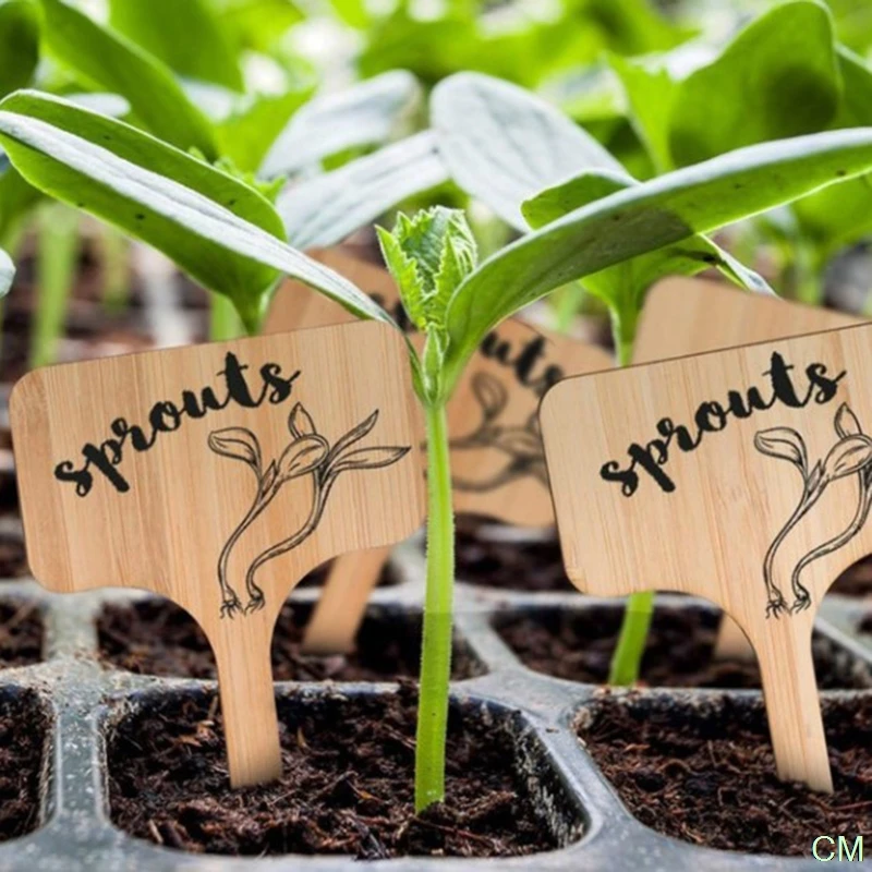 

T-Type Plant Labels Eco-Friendly Wooden Plant Sign Tags Garden Markers Seed Pot