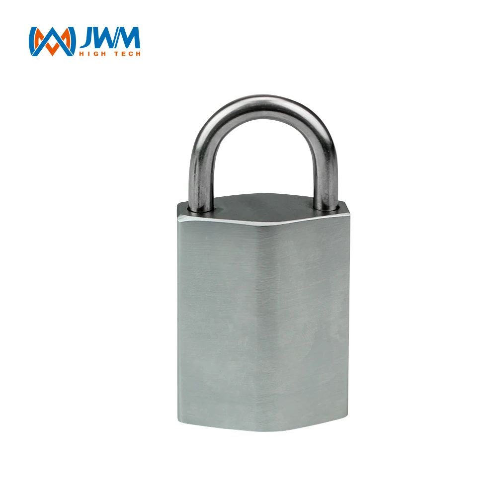 

Electronic Smart Padlock Intelligent Security Lock