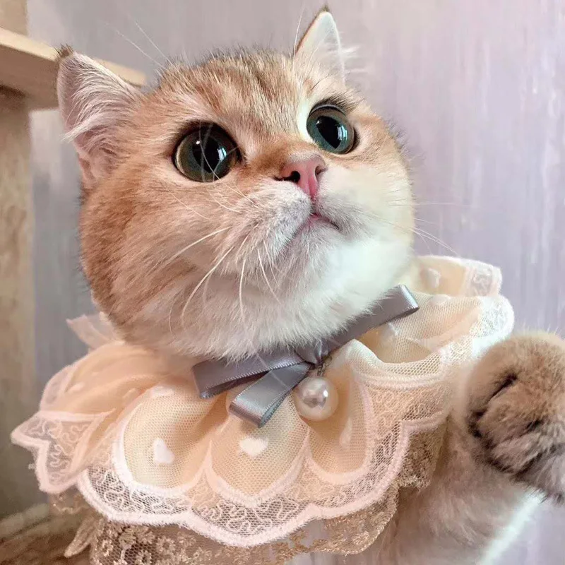 

Pet Scarf Cat Accessories Bib Lace Pearl Pendant Dog Collar Bib Adjustable Washable Cat Bowtie Dog Bandana Pet Supplies