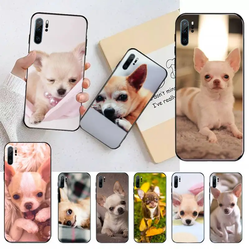 

Cute animal Chihuahua Dogs Phone Case For Huawei honor Mate 10 20 30 40 i 9 8 pro x Lite P smart 2019 nova 5t