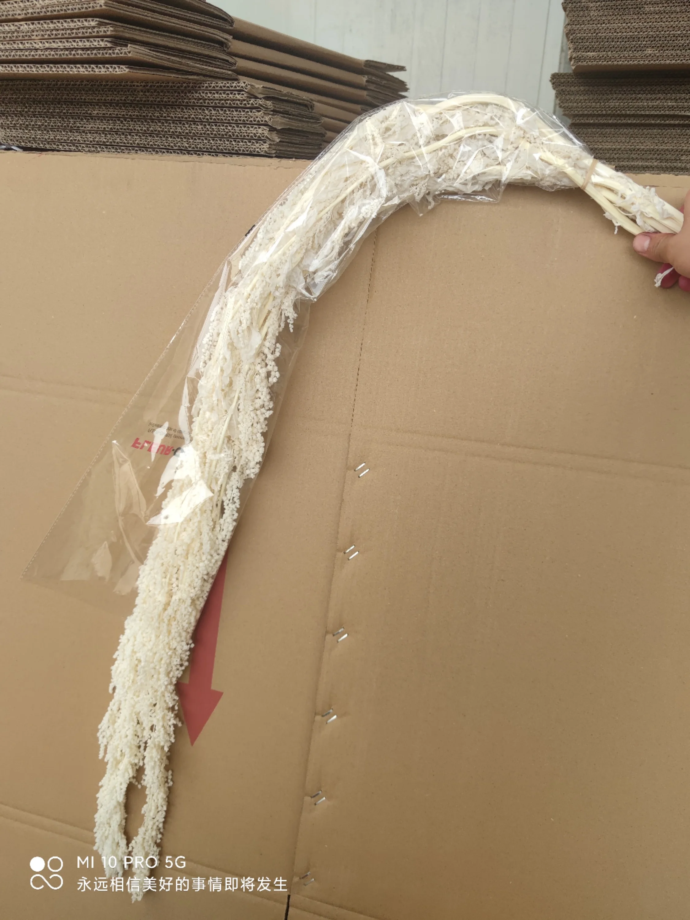 150g Preserved Lover Tears Dry Natural Real Long Flowers Spiker Plant 60-70cm For Home Party Wedding Occasion Decoration Props | Дом и сад