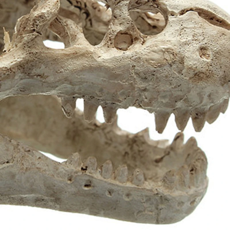 Смола крокодил череп Декор аквариум орнамент украшение для аквариума озеленение