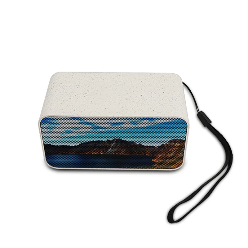 Высокое качество низкая цена Портативный беспроводной Bluetooth-динамик с