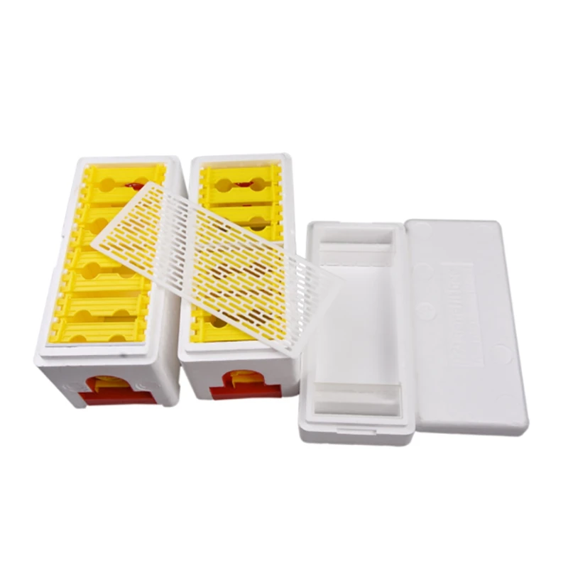 

Bee Hive Beekeeping King Box Multi-Functional Queen Bee Hive Plastic Foam Material Double Box Queen Rearing Beehive Beekeeping T