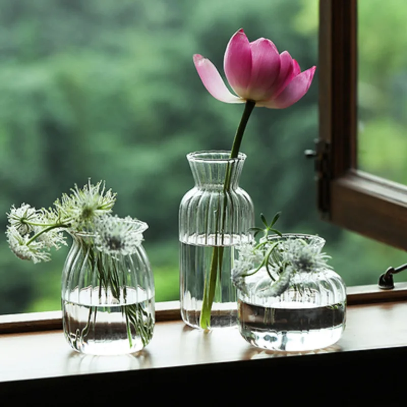 

Creative Nordic Glass Vases Living Room Table Decoration Transparent Water Hydroponics Flower Rope Dry Flower Vase Diy Bottle
