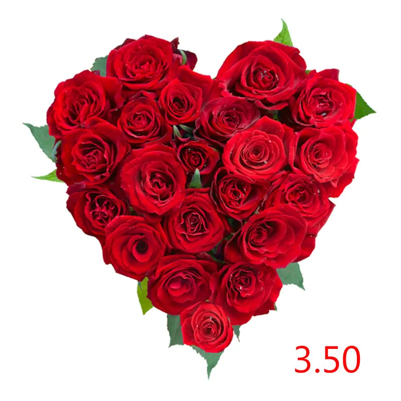 

Shipping Cost /Extra Fee /Repayment---3.50