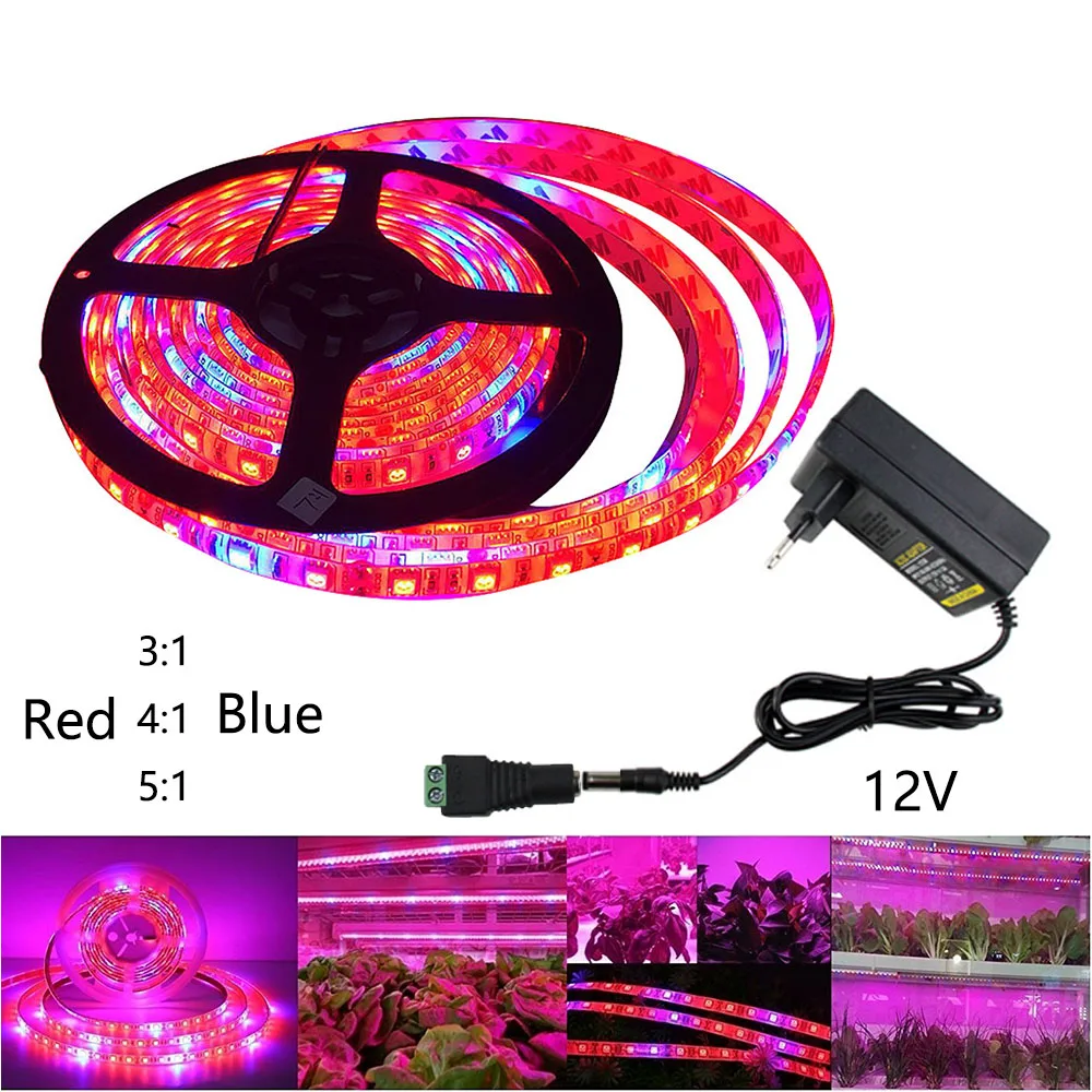 

Full Spectrum LED Grow Light 5050 Chip 12V For Greenhouse Hydroponic Plant Growing Flower Plant Phyto Growth Lamps+Power adapter