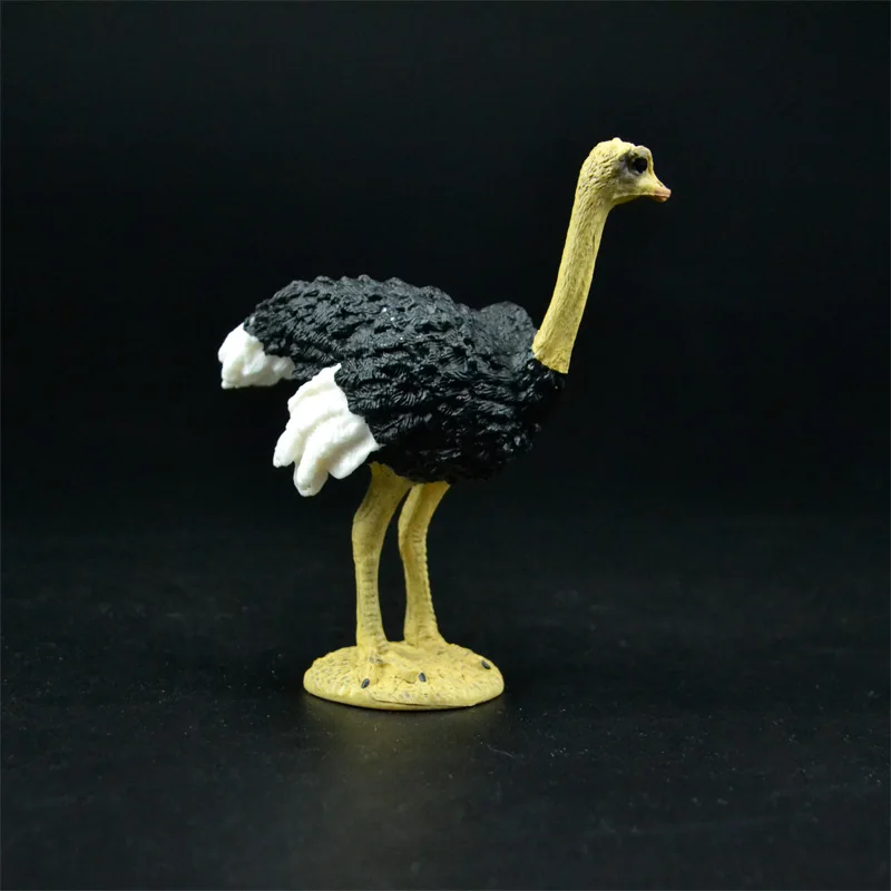 male ostrich Оригинальная натуральная дикая джунгли, ферма, животное, птица, серия, леопард, кошка, пантера, ягуар, Коллекционная модель, детская игрушка, подарок для детей - Цвет: male ostrich