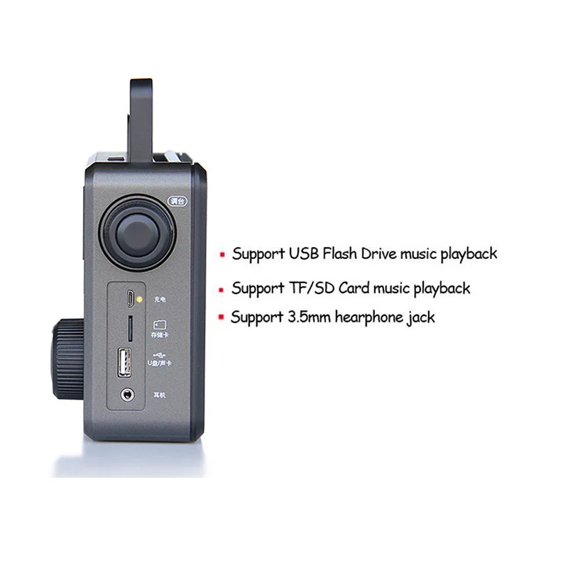 Tecsun RP307 WAV APE FLAC Bluetooth динамик портативный FM SW MW Радио USB TF SD карта MP3 плеер радио |