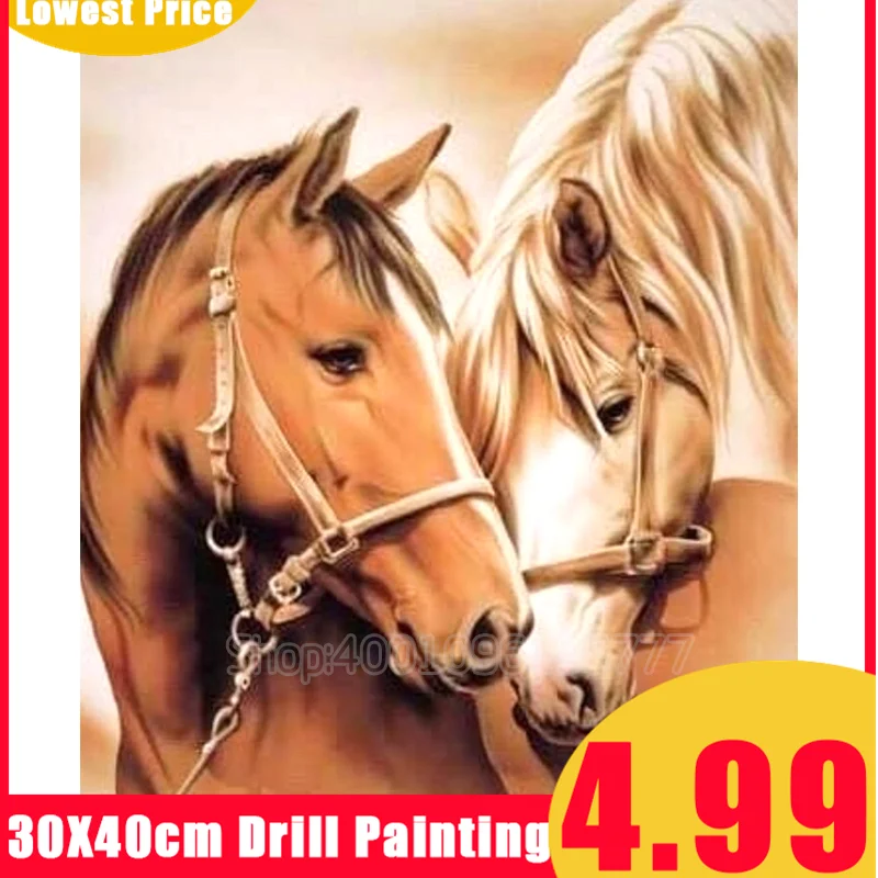 Алмазная живопись 5D полностью квадратная/круглая картина сделай сам лошадь узор