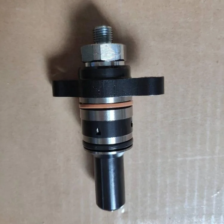 

Diesel engine engine spare parts fuel injection pump plunger 2469403622 F019 D03 313 CP2.2