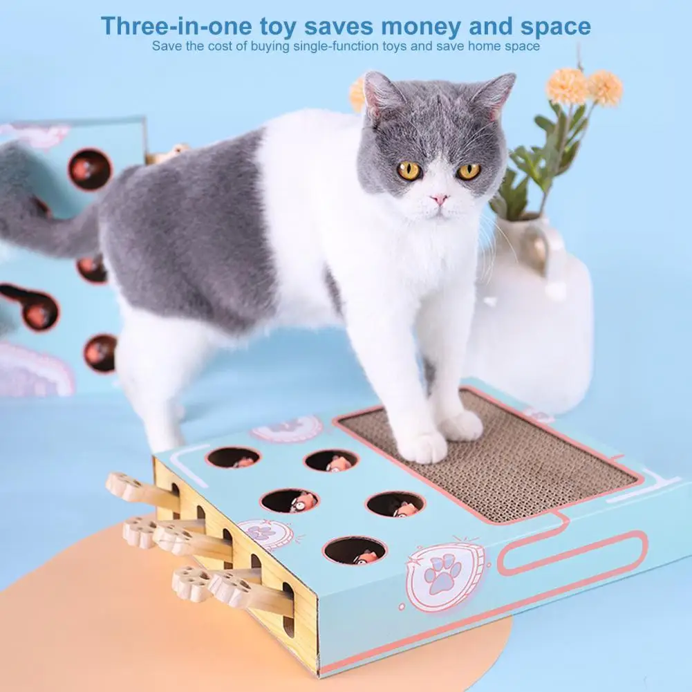 

Multifunctional Eco-friendly Kitten Scratching Claws Pad Pet Accessories