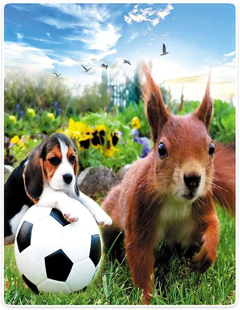 

Blanket Garden Dog Squirrel Football Plush Sofa Bed Throw Super Soft Warm Throw Blanket for Couch Sofa