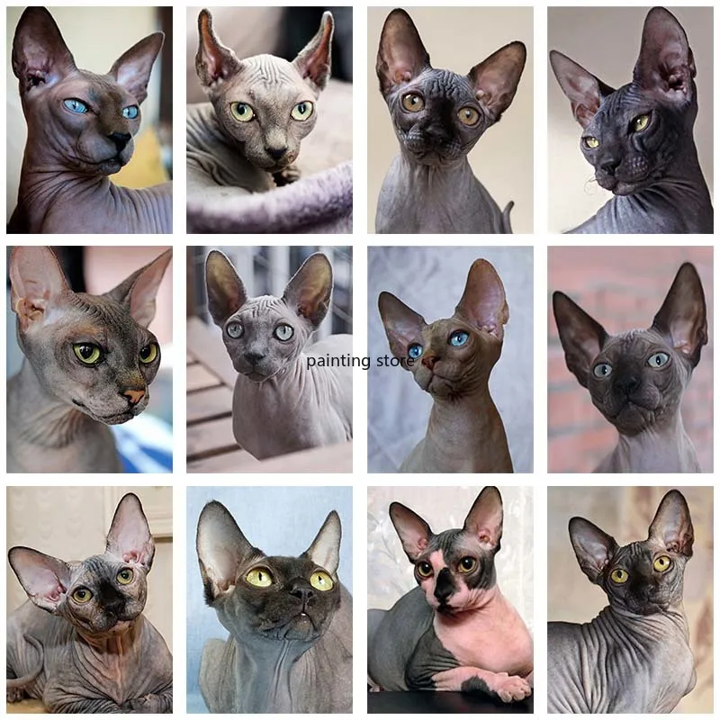 5D алмазная живопись сделай сам животные Сфинкс кот наборы для вышивки крестиком