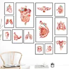Настенная Картина на холсте с изображением цветов, груди, матки, почек, печени, скандинавские постеры и принты, картины для врачей, офисное украшение