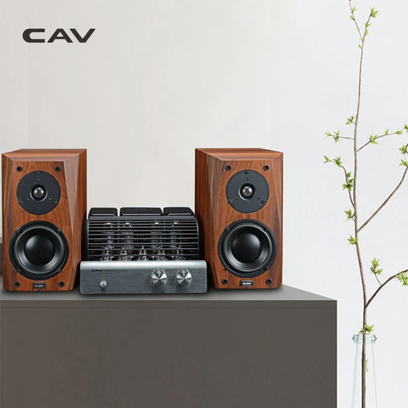 CAV FL-25 динамик s High End книжная полка динамик деревянный динамик фанерная отделка Aux громкий Hi-End s для компьютера Hifi коробки
