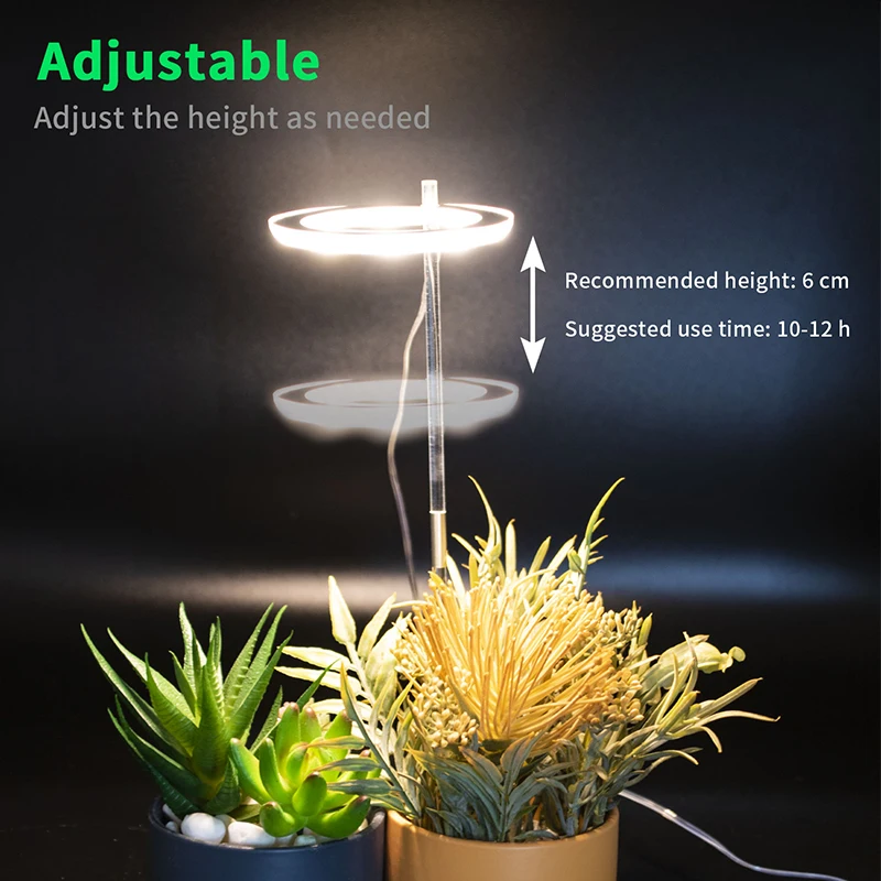 

Box Growing Light For Small Plants Houseplants Light Rings Cultivation Phytolamps Full Spectrum Fitolamp Desk Led Phyto Lamp