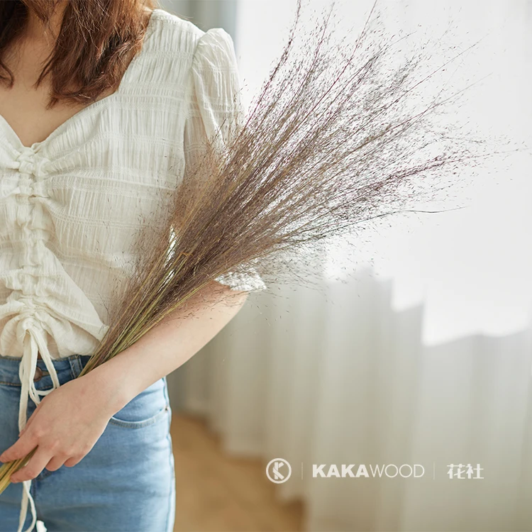 

Сеточка красная розовая черная пачкающая трава в Северном европейском японском стиле Натуральные сушеные цветы Цветочная композиция раст...