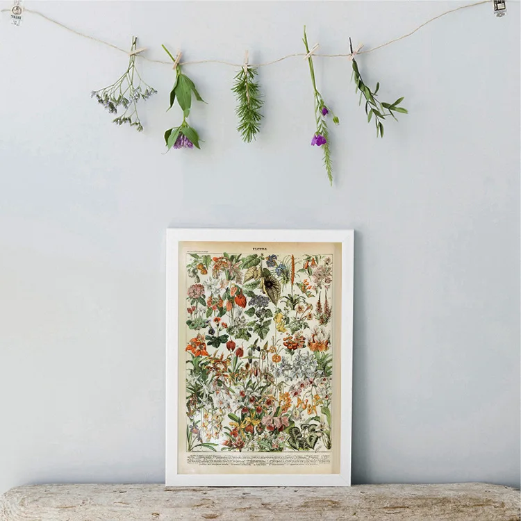 Ботанический учебный плакат грибы цветы идентификации справки таблицей и принты