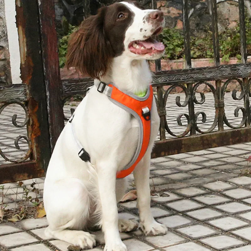 Товары для домашних животных шлейка собак жилет походов на открытом воздухе