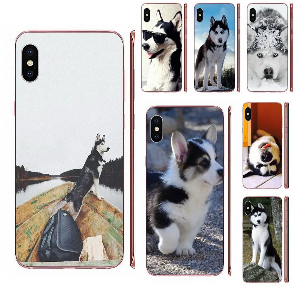 Дизайн щенков сибирской хаски для HTC Desire 530 626 628 630 816 820 830 One A9 M7 M8 M9 M10 E9 U11 U12 Life