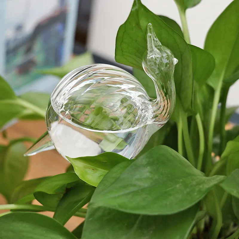 

Plant Water Glass Plant Flowers Water Feeder Self Watering Bird Design Plant Waterer High Borosilicate Glass Flower Diameter