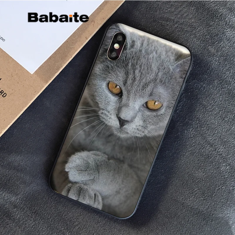 4 Babaite Британский короткошерстный Кот в продаже окрашенный мягкий чехол для телефона Apple iPhone 8 7 6S Plus X XS MAX 5 5S SE XR - Цвет: 4