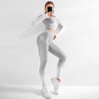 women seamless yoga set fitness sports suits gym cloth yoga long sleeve shirts high waist running leggings workout pants shirts