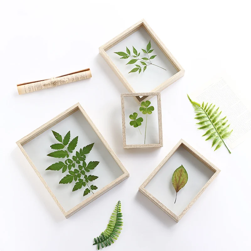 

Quality Wood Double Photo Frame Transparent Sided Glass DIY Simple Plant Specimens Frame Ornaments Decoration Crafts Home Decor