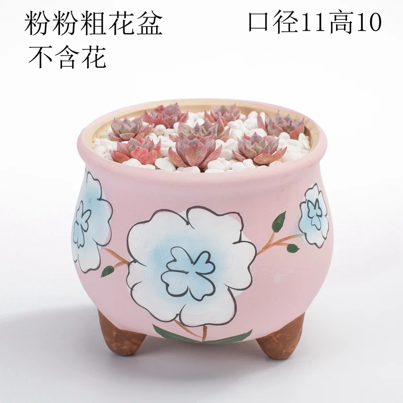 Корейский ручная роспись средний и большой калибр маленькое мясо растение