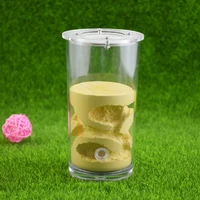 cylindrical acrylic ants farm ants nest cup gypsum ants house for living pet ants