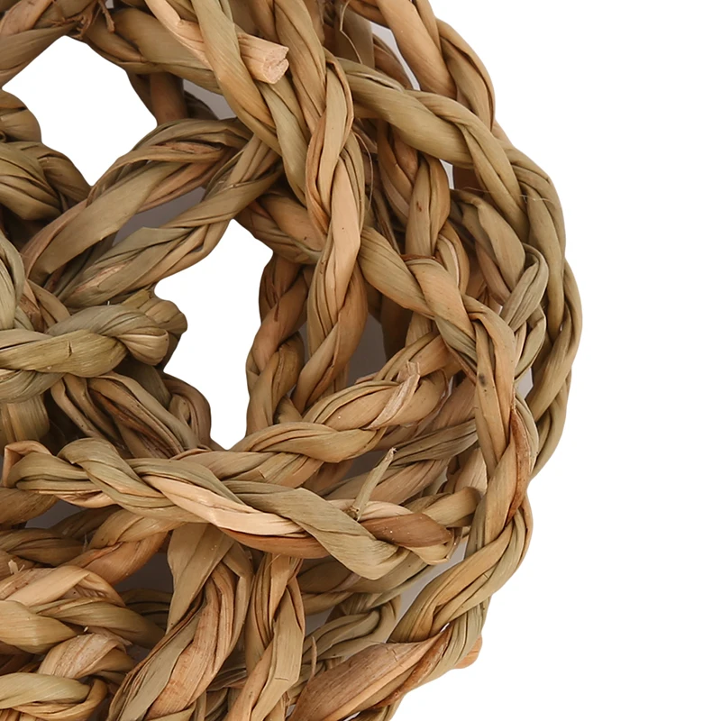 Маленькие крабы отельники гекконы кровати коврики морские водоросли ящерица