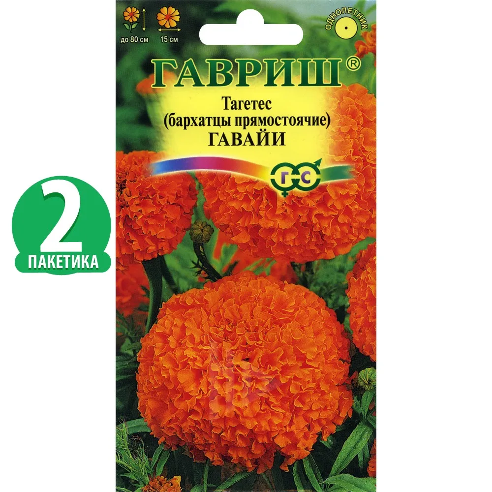 Бархатцы Синие Купить Семена