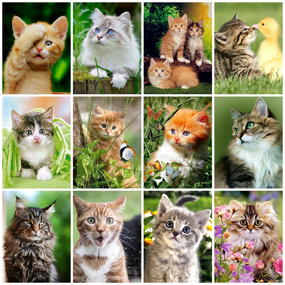 

Momoart Diamond Painting Cat Grassland Cross Stitch 5D Diamond Embroidery Animal Mosaic Rhinestone Picture Art Handmade Hobby