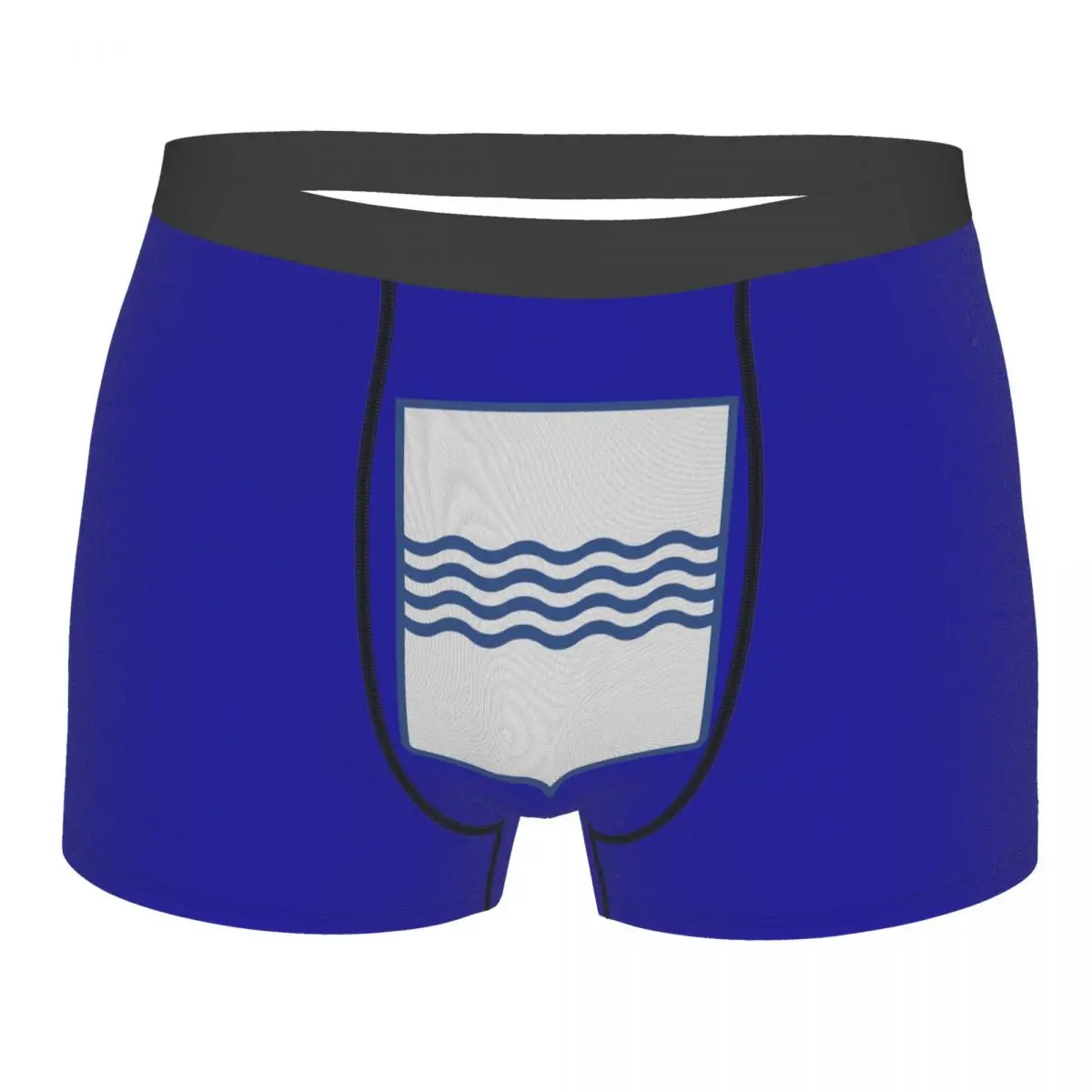 Flag Of Basilicata Men's Boxer Briefs regions of Italy Humor Graphic Men's boxer leggings