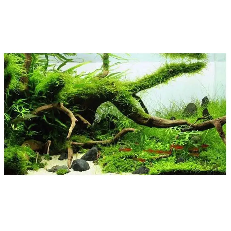 Hot Sale 1pcs Wood Natural Trunk Driftwood Tree Aquarium Fish Tank Plant Branch Decoration Ornament Landscap Flower Grass Decor | Дом и сад