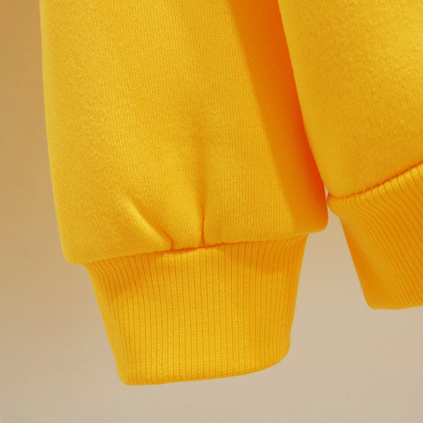 Осенне зимние толстовки 2019 одежда плюшевая и утепленная шапка рубашка толстовка